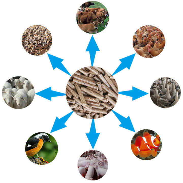 秸稈飼料顆粒機顆粒用途圖片 秸稈飼料顆粒機顆粒用途圖片