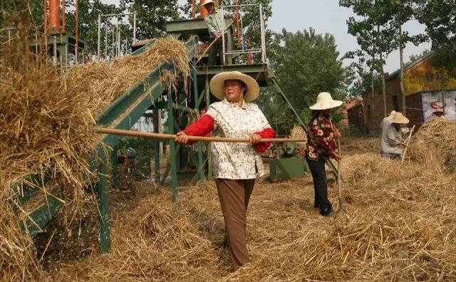 小型秸稈顆粒機對環境效益的影響