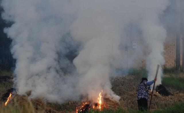 農作物秸稈露天禁燒和綜合利用