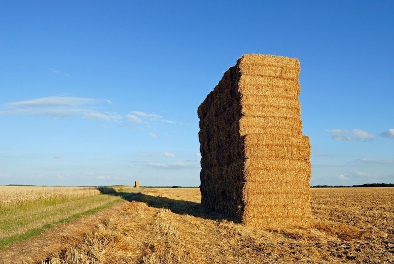 秸稈圖片 秸稈圖片