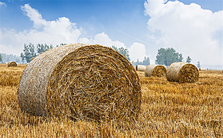  每一臺穩定可靠的玉米秸稈顆粒機背后，是一個優秀負責任的顆粒機廠家！