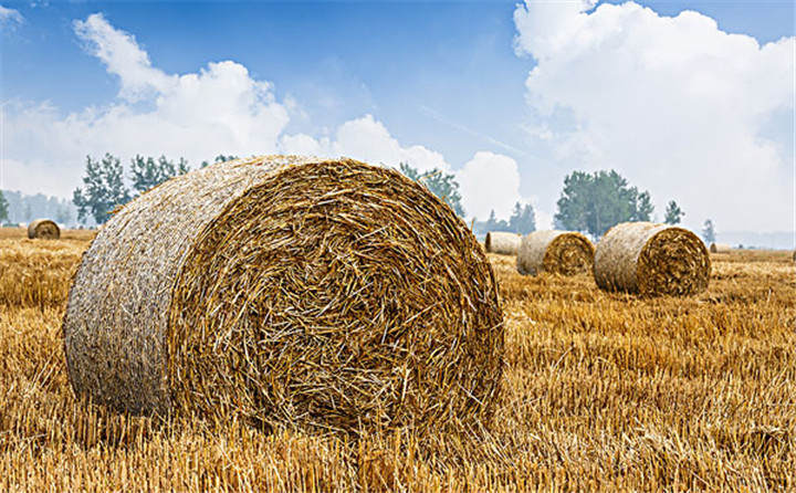 黑龍江省海倫市用于秸稈綜合利用共投入1.6億元,加快玉米秸稈顆粒機(jī)的使用 黑龍江省海倫市用于秸稈綜合利用共投入1.6億元,加快玉米秸稈顆粒機(jī)的使用