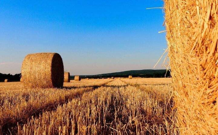 支持生物質能取暖，補貼爐具2000元、燃料600元/噸