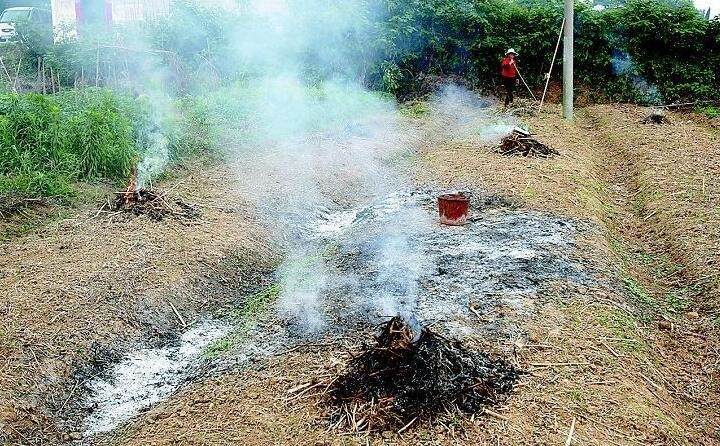 焚燒農(nóng)作物秸稈 焚燒農(nóng)作物秸稈