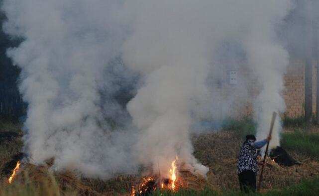 吉林2019秸稈禁燒