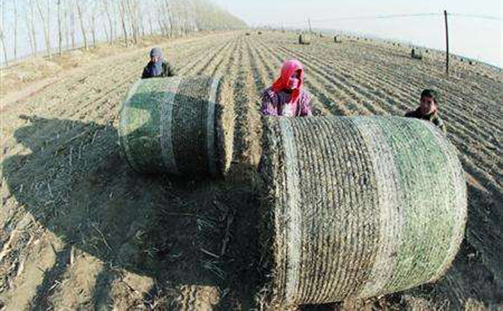 農林剩余物豐富