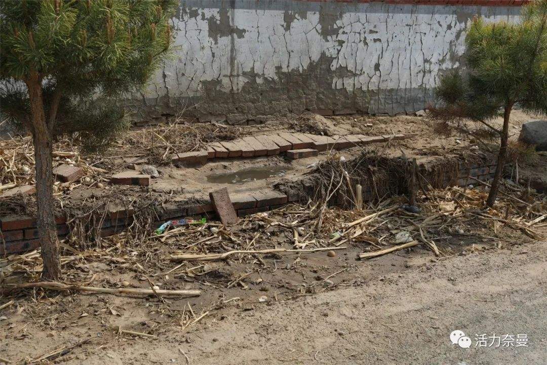 秸稈亂堆亂放 秸稈亂堆亂放