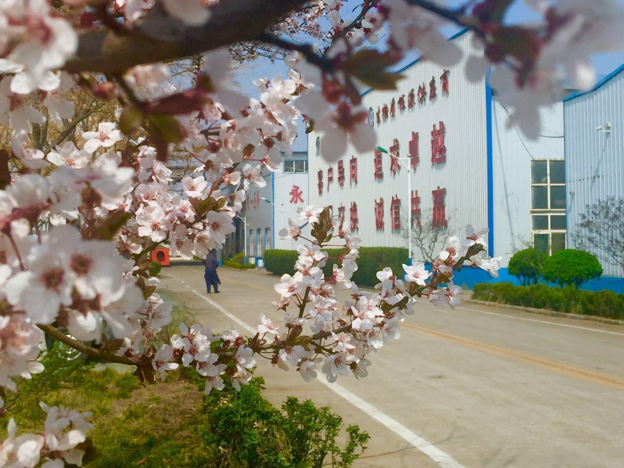 金格瑞顆粒機廠家 金格瑞顆粒機廠家