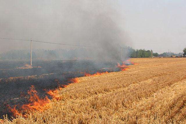 秸稈焚燒污染環(huán)境百害無一利 秸稈焚燒污染環(huán)境百害無一利