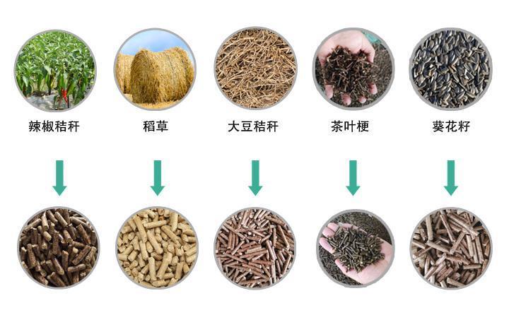 秸稈顆粒機(jī)加工生物質(zhì)能燃料或飼料 秸稈顆粒機(jī)加工生物質(zhì)能燃料或飼料