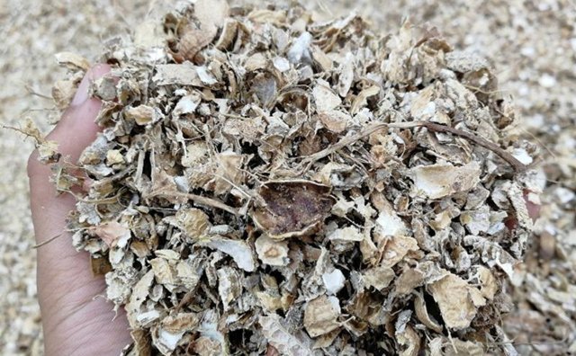 花生殼變廢為寶