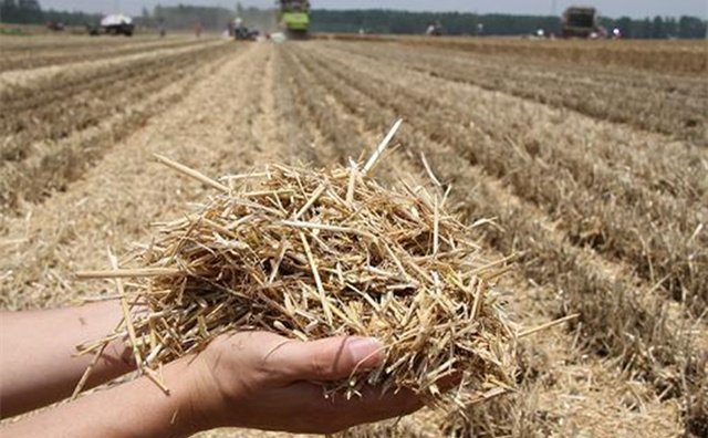 我國糧食產量實現“十七連豐”