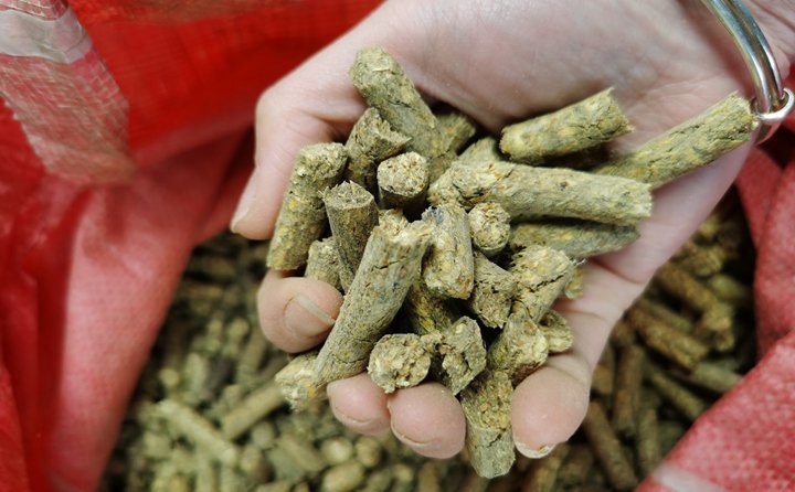 秸稈顆粒機生物質燃料化利用 秸稈顆粒機生物質燃料化利用