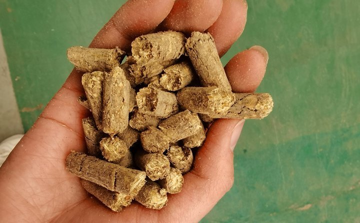 秸稈飼料顆粒機提高秸稈利用率，飼料顆粒機是以玉米、豆粕、秸稈、草、稻殼等為原料，通過粉碎原料后直接壓制成顆粒的飼料加工機械。