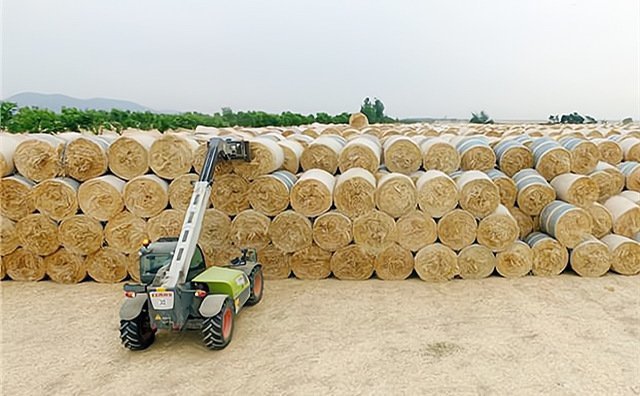 上海農(nóng)作物秸稈綜合利用補貼 上海農(nóng)作物秸稈綜合利用補貼