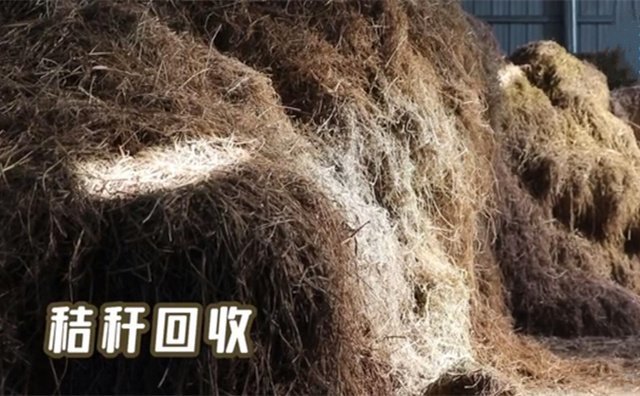 秸稈回收 秸稈回收