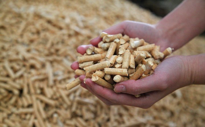 今年吉林省推動秸稈原料化、燃料化、肥料化、飼料化和基料化模式綜合利用?！敖斩捀锩闭谏羁谈淖兘衲甑那锸展ぷ?/></p><p>村民和東晟家庭農場的交易是上述變化的注腳。“我家主要做秸稈回收業務?！?8歲的農場經理孔范有介紹，該農場涉足粉碎、焚燒、飼料，直至高端生物飼料等業務。</p><p>孔范最近輾轉于各村，他在運輸秸稈時，還會教授村民如何晾曬，讓雙方的合作更有效率。這個秋天，該農場和附近四個村落簽訂了訂單，1700公頃秸稈意味著處理能力的躍升?！爸?農場)只能處理幾千噸，今年大概處理2萬噸左右?！?/p><p>吉林市官方數據顯示，當地秸稈產量約為600多萬噸，今年預計實現秸稈綜合利用235.66萬噸?！耙活^肉牛每年消耗干秸稈2.88噸，按照(吉林市)存欄54萬頭計算，可消耗秸稈約156萬噸。”吉林市農業農村局綜合處副處長王菁龍說，目前來看，秸稈在當地的發展前景非常廣闊。</p><p><br/></p><div   id=