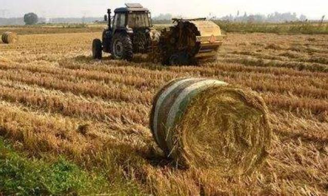 農作物秸稈利用