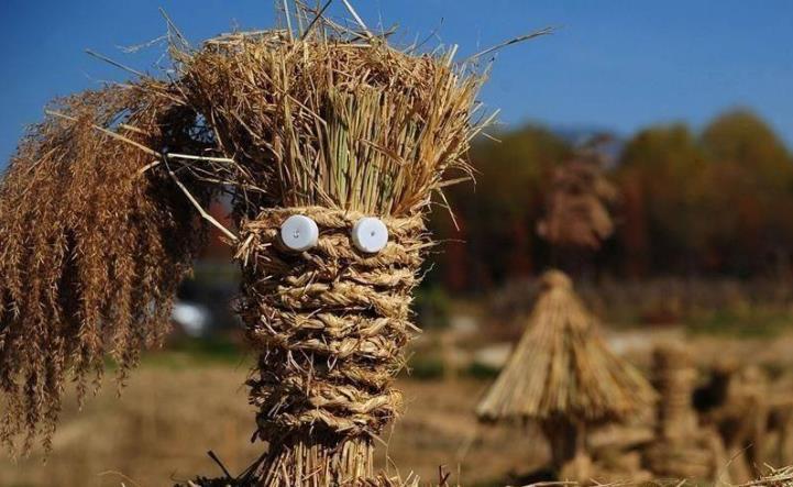 貴州省2023年創建100個秸稈綜合利用示范基地 貴州省2023年創建100個秸稈綜合利用示范基地