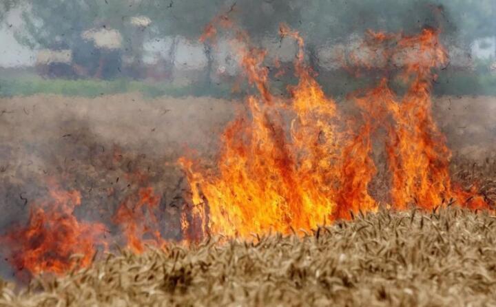 陜西省略陽縣白水江鎮2023年秸稈禁燒綜合利用