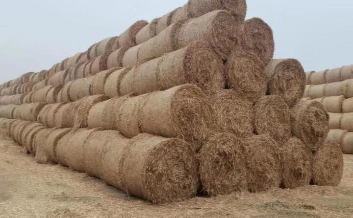 蕭縣：秸稈綜合利用“生態(tài)包袱”變“綠色財富”