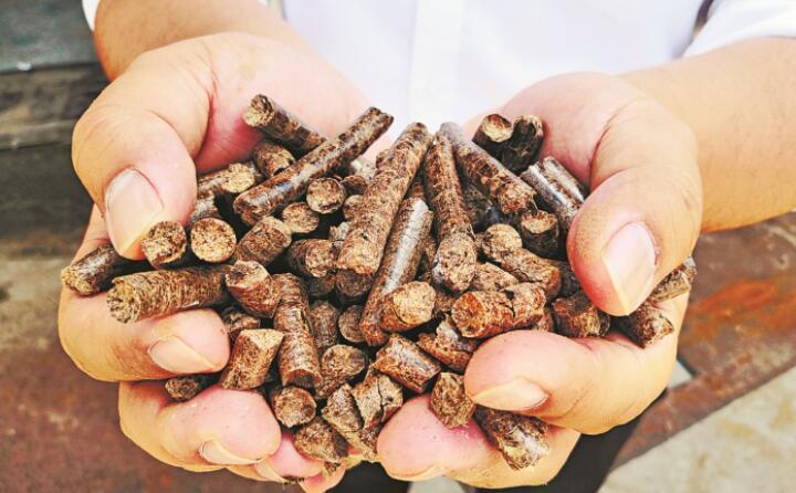 “添火加薪” 秸稈變寶“發光發熱”