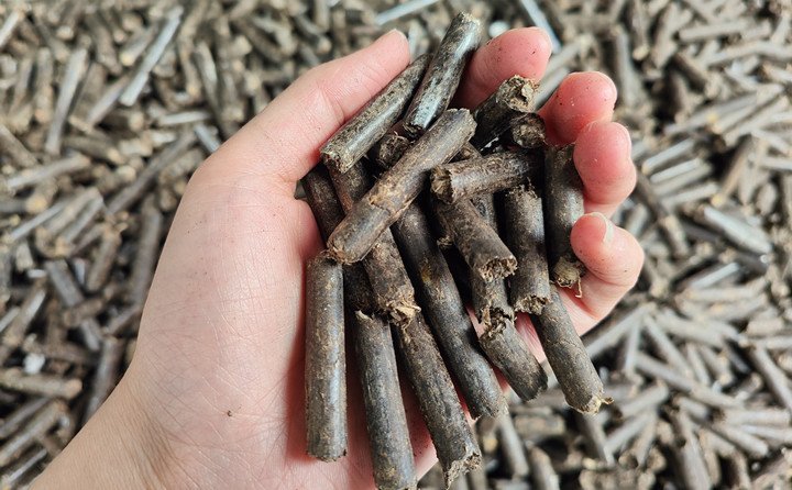 秸稈顆粒機：開啟秸稈更高價值的鑰匙