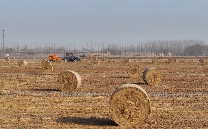 我國形成秸稈多元利用新格局