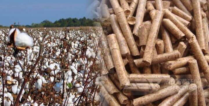 棉花秸稈高值化利用