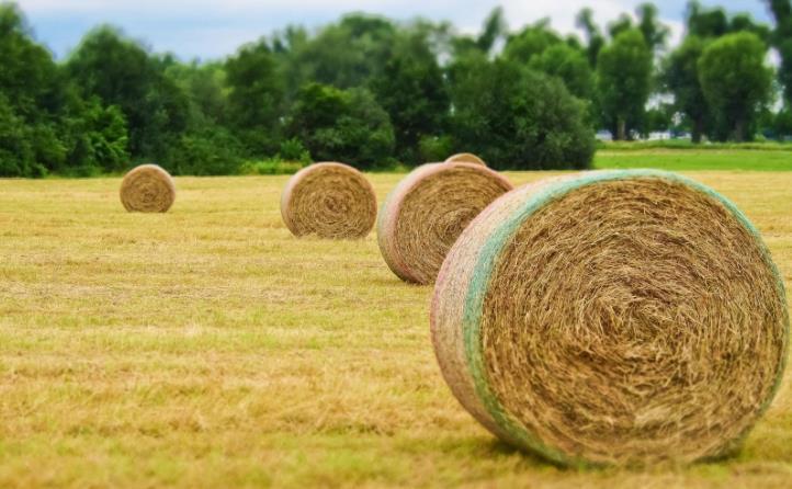 浙江省經(jīng)濟(jì)騰飛與秸稈利用相得益彰